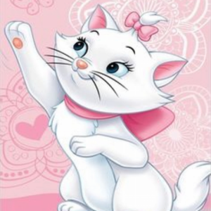 Φωτογραφία 14