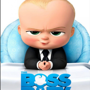 Φωτογραφία 15