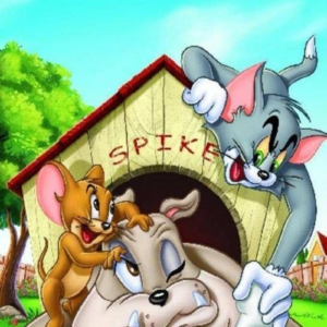 Φωτογραφία 193