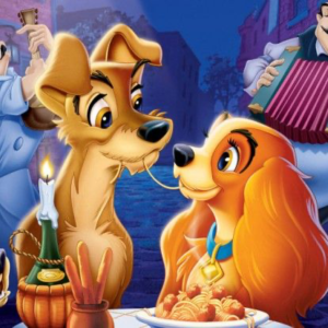 Φωτογραφία 226