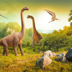 Φωτογραφία 228