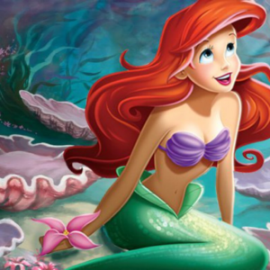 Φωτογραφία 243