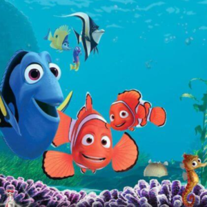 Φωτογραφία 25