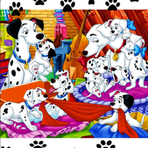 Φωτογραφία 41